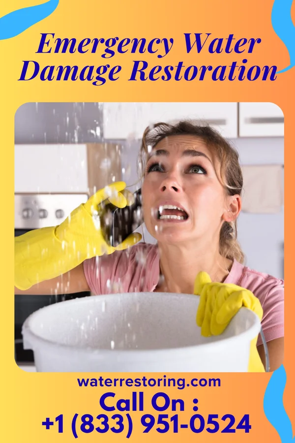 Emergency Water Damage Restoration in Idaho Springs, CO
